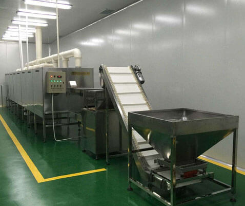 Fruit and vegetable dryer machine