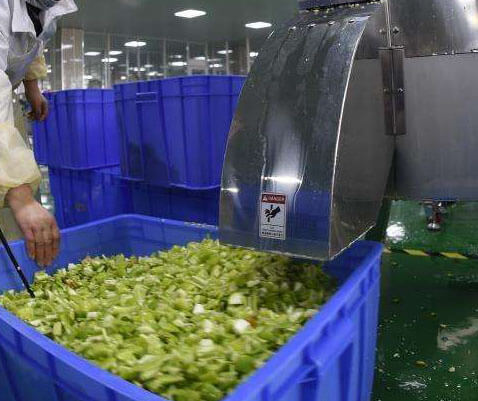 Vegetable chip slicer