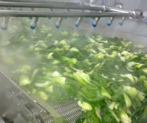 Vegetable washing machine