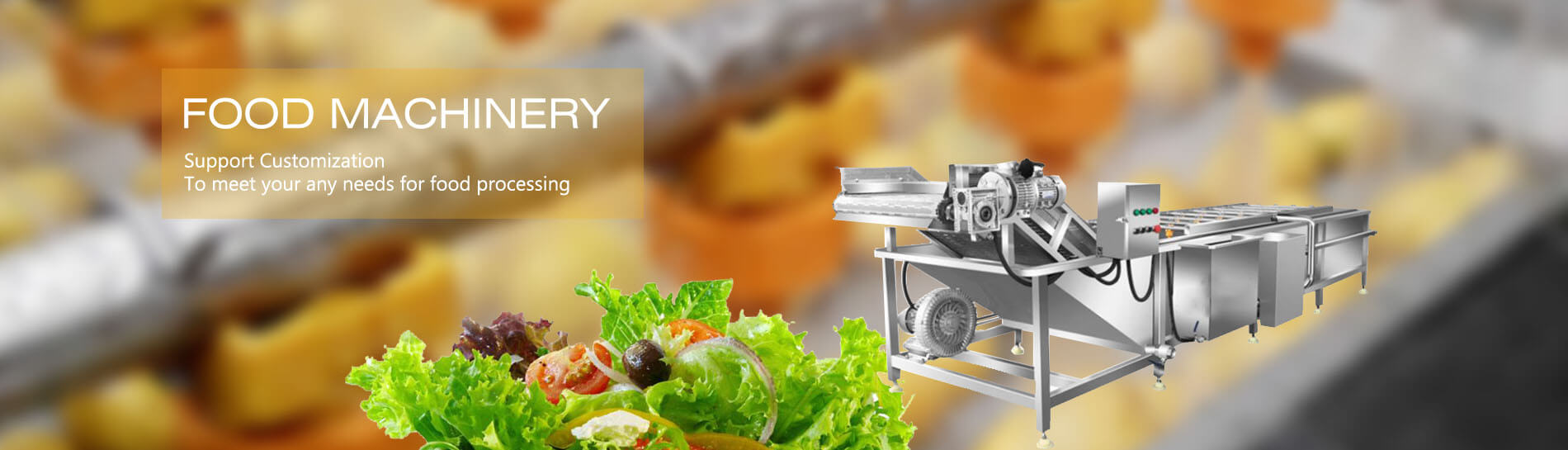 Food Processing Machine