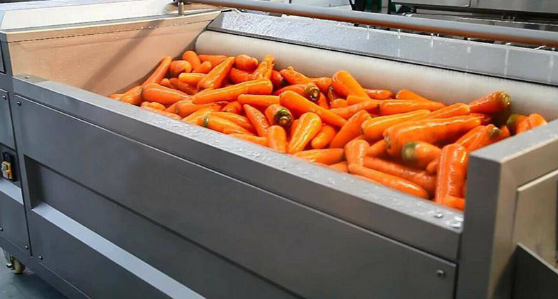 carrot washing and peeling machine