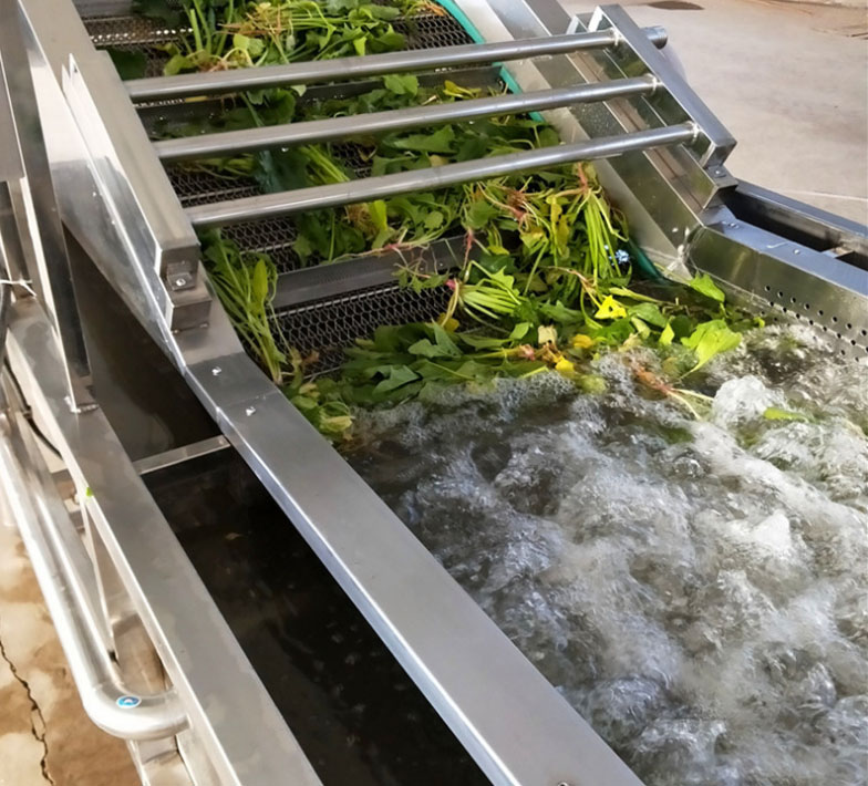 Commercial fruit and vegetable washer