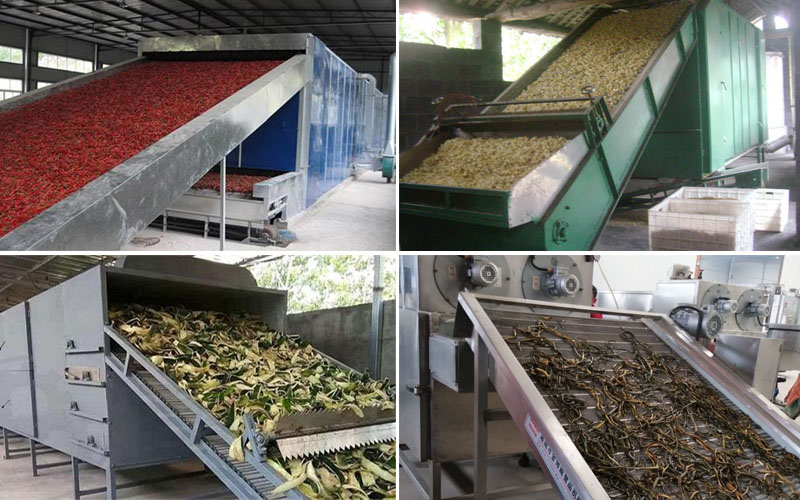 vegetable dryer machines