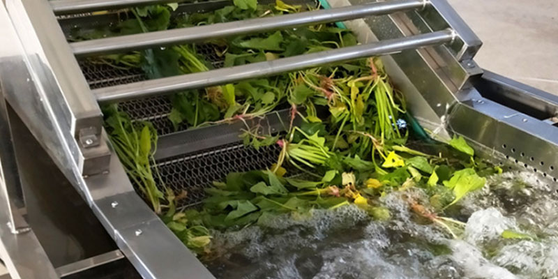 Vegetable washing machine