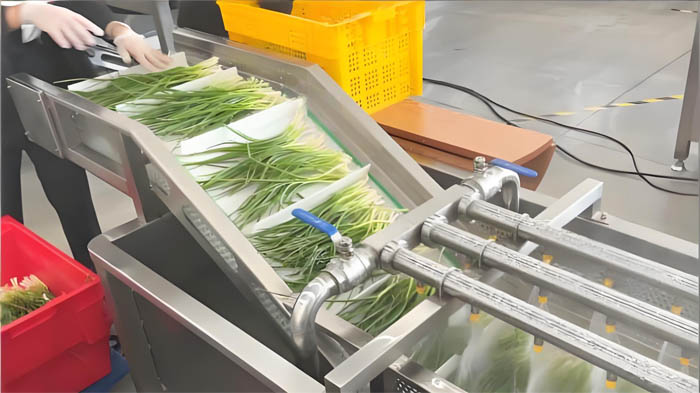 Vegetable Washing Line