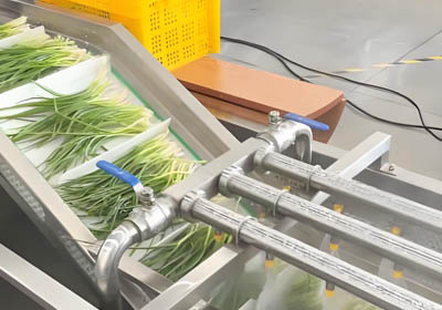 washing production line