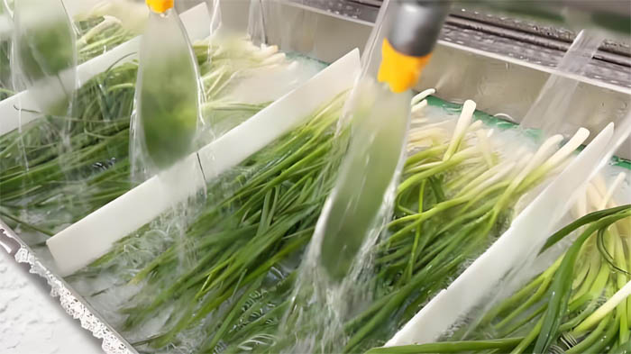 Commercial vegetable washing machine